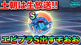 【ドラクエウォーク】今日こそ私はエビプラSで幸せになる全力周回ゆくぞ！！