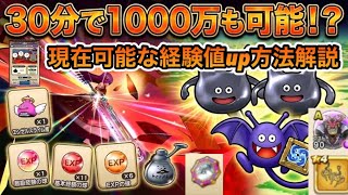 【ドラクエウォーク】レベル上げ効率UP！！現在可能な経験値UPする方法について解説！！メタルキャンペーンや装備,アイテム,こころetc【6.5周年～Reゼロから始めるドラクエウォーク】part12