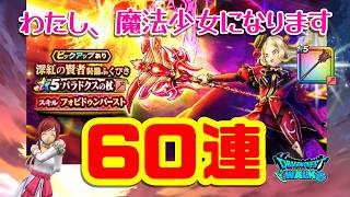 【ドラクエウォーク】わたし、魔法少女になります！深紅の賢者装備ふくびき引いてみた！