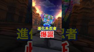 【ドラクエウォーク】復刻ガチャで進化系ニンジャが爆誕しました！