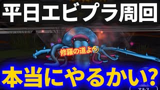 【ドラクエウォーク】平日エビルプラント周回、本当にやるのかい？コレが現実です……