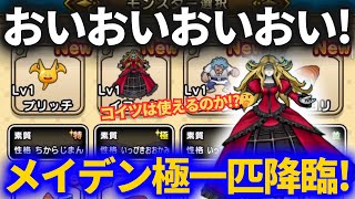 【ドラクエウォーク】メイデンドール極一匹狼降臨ッ！コイツは使えるのか？【なかまモンスター】【モンスターグランプリ】