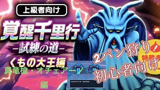 【初心者向け】真竜槍•オチェアーノ編　おすすめの編成紹介！！！ #ドラクエウォーク