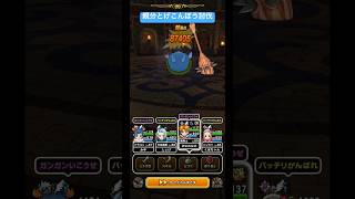 親分とげこんぼう討伐！#ドラクエウォーク #宝の地図 #親分とげこんぼう