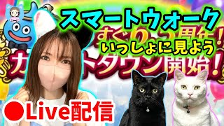 【ドラクエウォーク配信】いよいよハーフアニバのスマートウォーク！いつもと雰囲気違う…？【ひなさんゲ。】