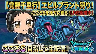 (2026.04.04)　ドラクエウォーク生配信！覚醒千里行！でエビルプラントのこころSを目指す！