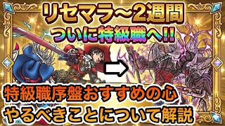【ドラクエウォーク】リセマラ～2週間ついに特級職へ！！特級職序盤の集めるべきおすすめ心＆やるべきことについて解説！！【6.5周年～Reゼロから始めるドラクエウォーク】part14
