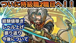 【ドラクエウォーク】ついに特級職2職目時渡りの剣士に転職！！ここまでのレベル上げや今後の育成について【6.5周年～Reゼロから始めるドラクエウォーク】part25