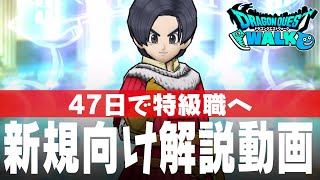 ドラクエウォーク 47日で特級職へ、新規プレイヤー向けのレベル上げの解説動画