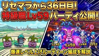 【ドラクエウォーク】リセマラから３６日レベル上げ編成やルーティンについて【6.5周年～Reゼロから始めるドラクエウォーク】