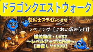ドラゴンクエストウォーク【整備士スライムの酒場#61】　導きの足跡　上級職のレベリング（第2回／29日目）【28日目までの獲得経験値　4580万　誤差あり】