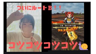[ドラクエウォーク]ついにルートB行けるのか！？こつこつ🐌進行中！！導きのかけら貯めなくては💦