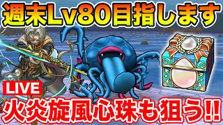 【ドラクエウォーク】週末千里行周回開始!! 今週こそ火炎旋風心珠を取りたいっっ…!!【DQW】
