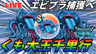 【🔴ドラクエウォーク】久しぶりのエビ探し配信