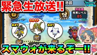 【ドラクエウォーク】本日スマウォが来るので神地図周回しながら力尽きるまでレベリングしたらああああ！