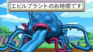 ドラクエウォークのお時間です　１５ターン目