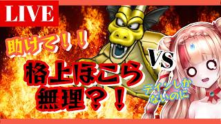 【ドラクエウォーク】デインしかない私、格上ガメゴンに勝てるのか…？