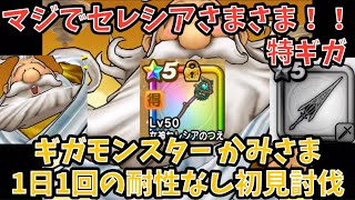 【ドラクエウォーク】セレシアさまさま過ぎる件！！ ギガモンスター かみさま 生き残り易い討伐法【ドラゴンクエストウォーク】