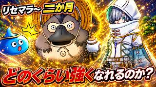 【ドラクエウォーク】リセマラ～二か月どのくらい強くなれるのか？【6.5周年～Reゼロから始めるドラクエウォーク】