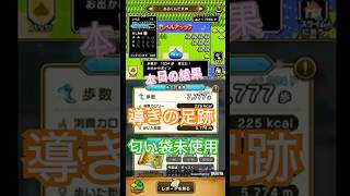 ドラゴンクエストウォーク【整備士スライムの酒場#79】　導きの足跡　上級職のレベリング（第3回／17日目）おまけ【こどもの日復刻装備ふくびき】