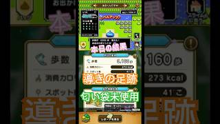 ドラゴンクエストウォーク【整備士スライムの酒場#81】　導きの足跡　上級職のレベリング（第3回／19日目）