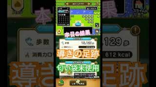 ドラゴンクエストウォーク【整備士スライムの酒場#82】　導きの足跡　上級職のレベリング（第3回／20日目）おまけ【祝福の大神官装備ふくびき】