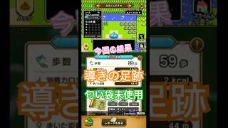 ドラゴンクエストウォーク【整備士スライムの酒場#83】　導きの足跡　上級職のレベリング（第3回／21日目）