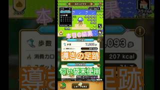 ドラゴンクエストウォーク【整備士スライムの酒場#90】　導きの足跡　上級職のレベリング（第3回／28日目