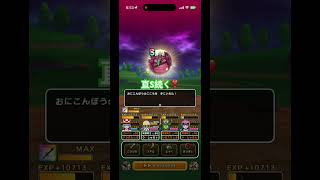 【DQW】直S2個目❣️