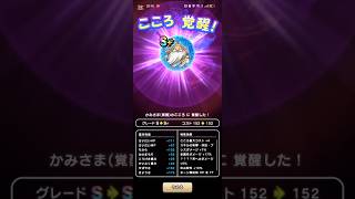 #ドラクエウォーク【こころSドロップ祭り】2026年5月 #無課金