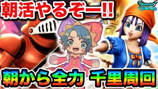 【ドラクエウォーク】第２回今日こそ覇王斬会心ダメージとかいう神をげっとする！！！