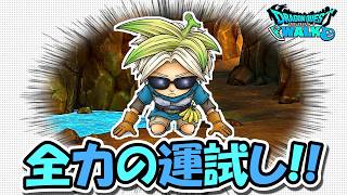 【ドラクエウォーク】全力で腕試しかますぜー！！超不人気イベントを救いたい・・・！