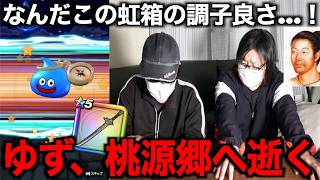 桃源郷が欲しくて懲りもせずに今回も有償ジェムに手をつけた結果・・・【ドラクエウォーク】【ドラゴンクエストウォーク】