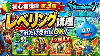 【初心者講座第3弾】上級職50Lvから上がらない人へ！効率のいいレベリング方法まとめ【ドラクエウォーク】