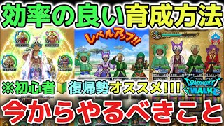 【ドラクエウォーク】効率の良いオススメの育成方法！初心者や復帰勢が今からやるべきことを解説！【DQウォーク】レベル上げ　職業優先　最強パーティ作り方　勇者のつるぎ　最強こころ