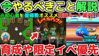 【ドラクエウォーク】初心者🔰復帰勢オススメ！レベル上げの優先すべき職業パーティや今やるべきことの優先度を解説！【DQウォーク】勇者のつるぎ　はてんの月輪　とこしえの杖