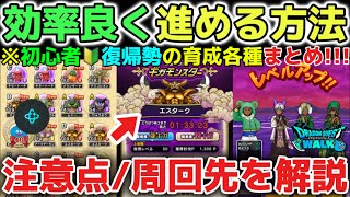 【ドラクエウォーク】初心者🔰復帰勢オススメ!各種コンテンツを効率良く進める方法!レベル上げや心集め今後やるべきことを注意点含め解説します!【DQウォーク】勇者のつるぎ はてんの月輪 ギガモンエスターク