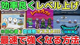 【ドラクエウォーク】効率の良いレベル上げの方法!無駄なく最速で強くなるやるべきことを解説します!!【DQウォーク】勇者のつるぎ ロトの竜剣 初心者 復帰勢 最強になる方法 神地図 職業育成