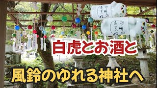 【ドラクエウォーク】【DQW】京都の西を守る大社へ!暑い日は風鈴の音色で気持ち涼しく。京都へ行ってきたー!