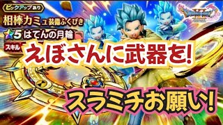 【ドラクエウォークガチャ】【DQWガチャ】えぼミュ誕生なるか!?ぶんぶんさせて〜はてんの月輪夫婦でガチャ!!