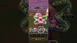 ＃ドラクエウォーク　連続呪文でゾーンの再抽選が可能！ダーマ杖と相性⭕️