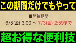 こちらナメないでください、最高の季節がやってきています【ドラクエウォーク】【ドラゴンクエストウォーク】