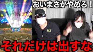 おい…何をしようとしてるんだぁああああああ【ドラクエウォーク】【ドラゴンクエストウォーク】
