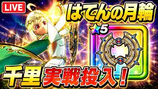 【ドラクエウォーク 】はてんの月輪を千里で実戦投入！火力・周回性能は本当に強いのか！？