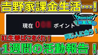 【ドラクエウォーク】𠮷野家に何回行ったのか！？1週間の活動報告！プレイ状況共有！