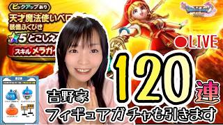 【ドラクエウォーク配信】萌えボイス聞きたい！ベロニカ狙って120連ふくびき！＆吉野家フィギュアガチャLIVE