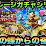 【ドラクエウォーク】無料で当てるのいつ以来やろ？マイレージガチャシリーズ第185弾