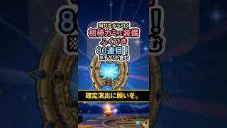 【ドラクエウォーク/ガチャ】相棒カミュ装備ふくびき80連目…確定演出に願いを。【DQWalk/はてんの月輪】#shorts #ドラクエウォーク #8