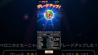 #817【ドラクエウォーク】ベロニカとセーニャのこころが遂にSになりました😊