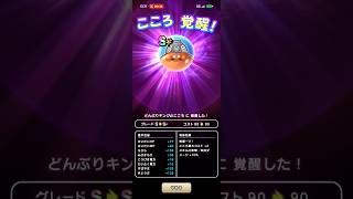 #821【ドラクエウォーク】どんぶりスライムからどんぶりキングのこころに覚醒しました😊
